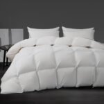 Luxury White Goose Down Comforter - Down and Feather Fiber Core for All Seasons - Duvet Insert Queen Hotel Collection - Soft and Medium Warmth Down Comforter,Queen (90 X 90”)