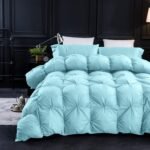 Pinch Pleat Goose Feathers Down Comforter Queen Size Duvet Insert,750+ Fill Power,1200TC 100% Cotton Fabric,Premium Aqua Sky Comforter for All Seasons with 8 Tabs